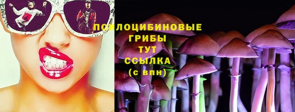 крисы Рославль