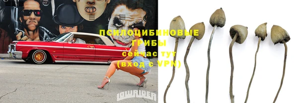 крисы Рославль